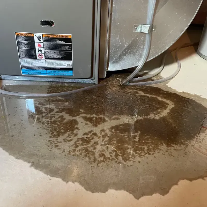 Appliance Leak Cleanup in Cape Carteret, NC